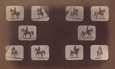 Estudios de escorzos. Caballos. Caminando. Mahoma. Nos. 119-120 de Eadweard Muybridge