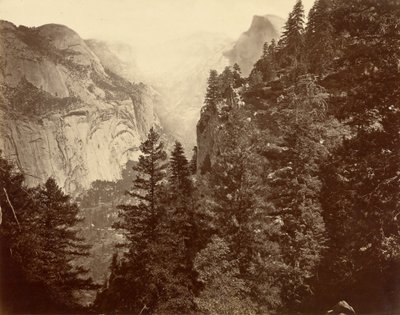 Cañón Tenaya desde Union Point, Valle de Yosemite de Eadweard Muybridge