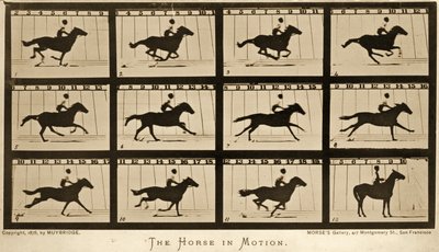 El caballo en movimiento, serie 