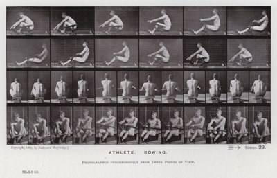 La Figura Humana en Movimiento: Atleta, Remando de Eadweard Muybridge