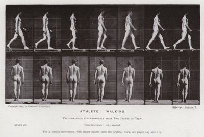La Figura Humana en Movimiento: Atleta, Caminando de Eadweard Muybridge