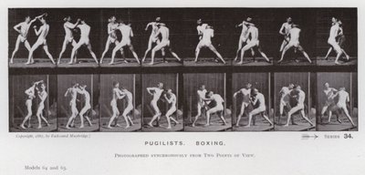 La Figura Humana en Movimiento: Púgiles, Boxeo de Eadweard Muybridge