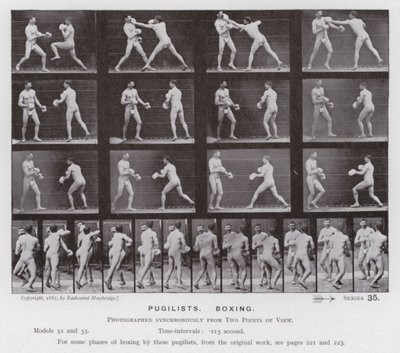 La figura humana en movimiento: Pugilistas, boxeando de Eadweard Muybridge