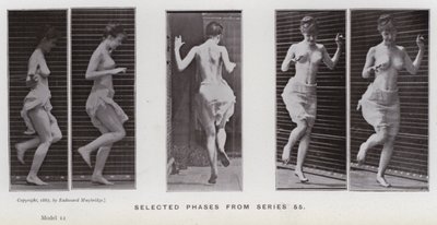 La figura humana en movimiento: Fases seleccionadas de la serie 55 de Eadweard Muybridge