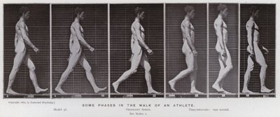 La figura humana en movimiento: Algunas fases en la caminata de un atleta de Eadweard Muybridge