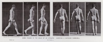 La figura humana en movimiento: Algunas fases en la caminata de un atleta, cargando una pesa de 50 libras de Eadweard Muybridge