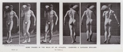 La Figura Humana en Movimiento: Algunas fases en la caminata de un atleta, cargando una roca de 75 libras de Eadweard Muybridge