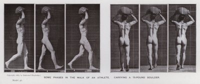 La figura humana en movimiento: Algunas fases en la caminata de un atleta, cargando una roca de 75 libras de Eadweard Muybridge