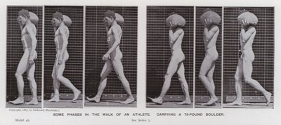 La figura humana en movimiento: Algunas fases en la caminata de un atleta, cargando una roca de 75 libras de Eadweard Muybridge