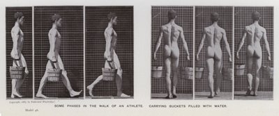 La Figura Humana en Movimiento: Algunas fases en la caminata de un atleta, cargando cubos llenos de agua de Eadweard Muybridge