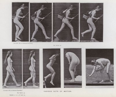 La figura humana en movimiento: Varios actos de movimiento de Eadweard Muybridge