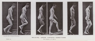 La Figura Humana en Movimiento: Caminando, Bajo Varias Condiciones de Eadweard Muybridge