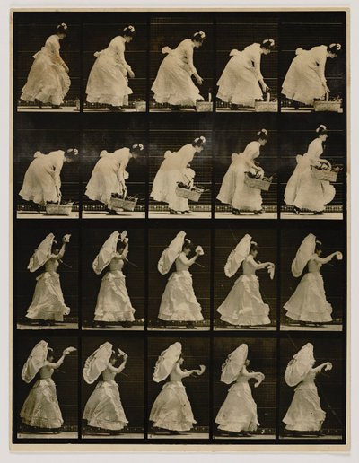 Mujer levantando una cesta, agitando un pañuelo, del libro Animal Locomotion de Eadweard Muybridge