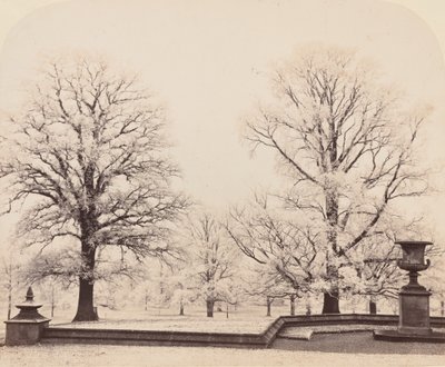 Escarcha, una escena de parque de Earl of Caithness James Sinclair