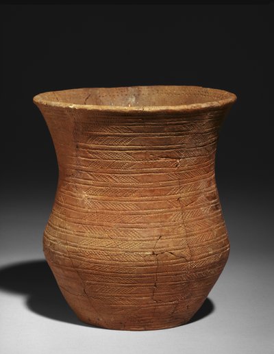 Vaso campaniforme de una tumba en Radley, Barrow Hills, c.2500-2150 a.C. de Early Bronze Age