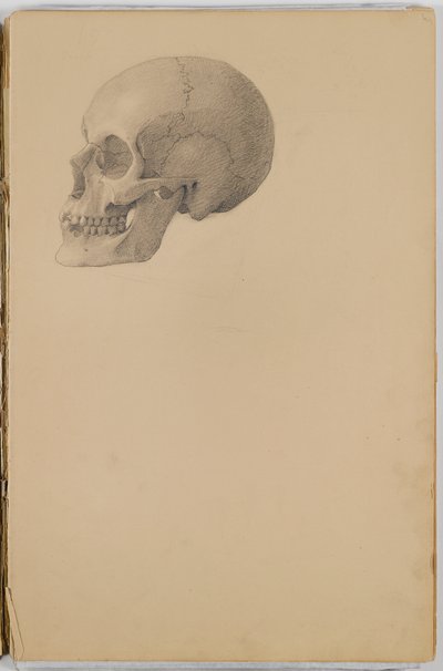 Cuaderno de Bocetos de Anatomía, 1849 de Eastman Johnson