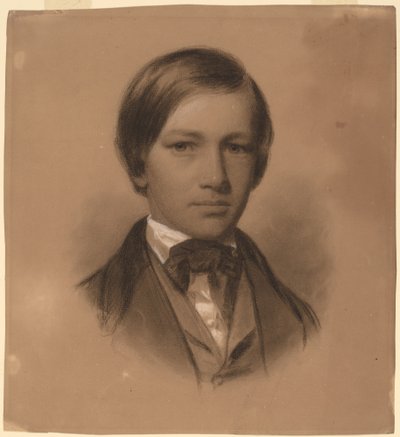 Retrato de un joven de Eastman Johnson