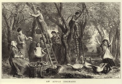Un huerto de manzanas de Ebenezer Newman Downard