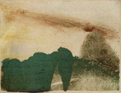 Bosque en las montañas, c.1890 de Edgar Degas