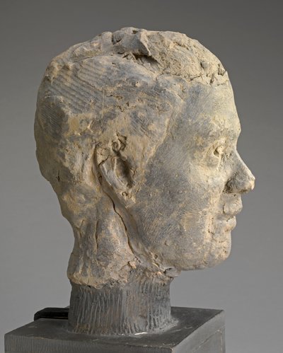 Cabeza, Estudio para un Retrato de Mme Salle, c.1892 de Edgar Degas