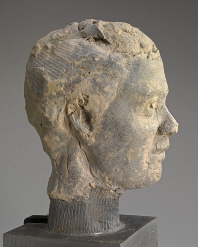 Cabeza, Estudio para un retrato de Mme Salle, c. 1892 de Edgar Degas
