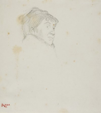 Retrato de Madame Dietz-Monnin de Edgar Degas