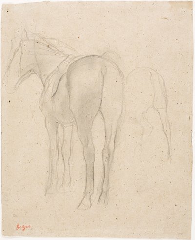 Estudios de un caballo de Edgar Degas
