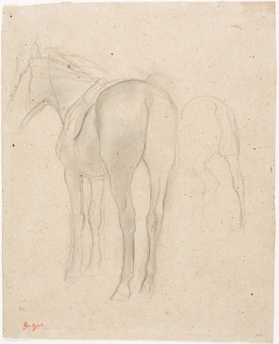 Estudios de un caballo de Edgar Degas