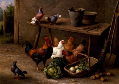 Gallinas, palomas y tórtolas de Edgar Hunt