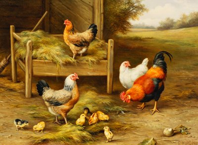 Alimentación de pollos y pollitos de Edgar Hunt