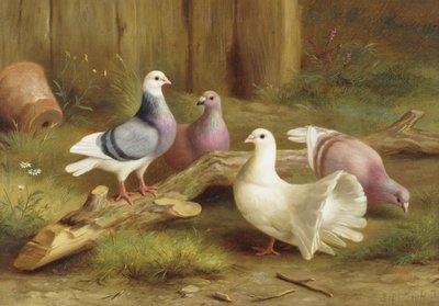 Palomas de Edgar Hunt