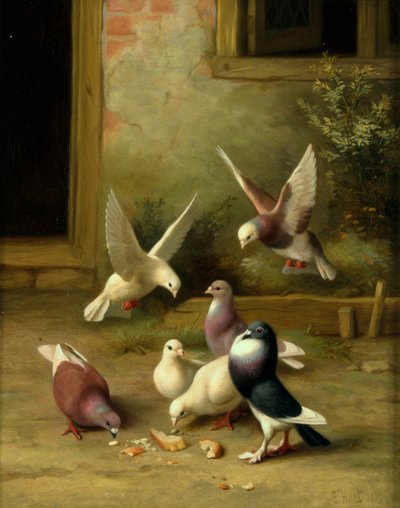 Palomas alimentándose de Edgar Hunt