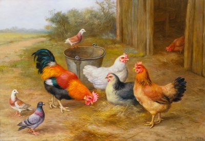 Palomas y pollos de Edgar Hunt