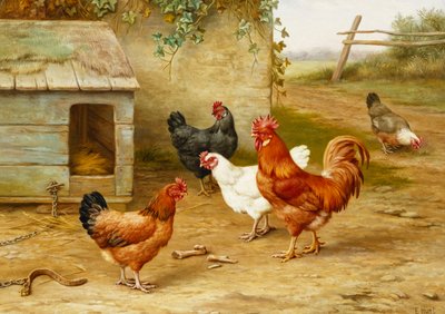 Aves de corral por perrera de Edgar Hunt