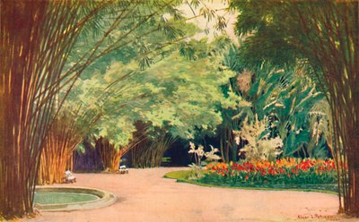Un bosque de bambú - Jardines Botánicos, 1914 de Edgar L. Pattison