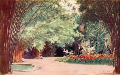 Un bosquecillo de bambú, Jardín Botánico (litografía en color) de Edgar L. Pattison