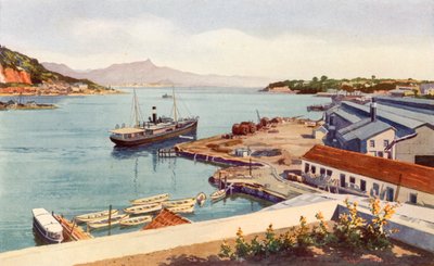 Talleres de la Compañía de Vapores Lloyd Brasileiro (litografía en color) de Edgar L. Pattison