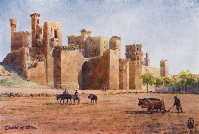 Norte de España: Olite, El Castillo (litografía en color) de Edgar T. A. Wigram