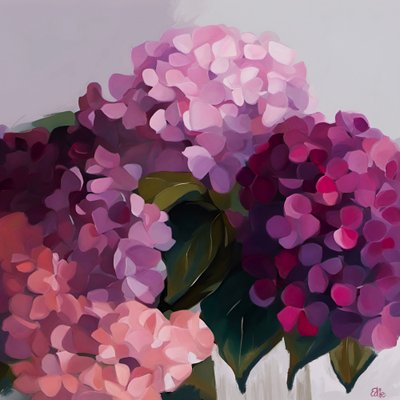 Florecimientos de hortensias en todo su esplendor de Edie
