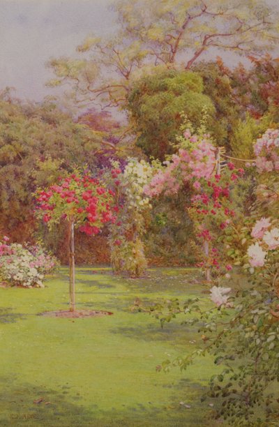 Un jardín de rosas (acuarela sobre papel) de Edith Helena Adie