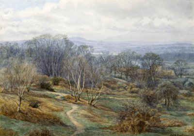 Hampstead Heath mirando hacia Harrow on the Hill, c.1880 de Edith Martineau