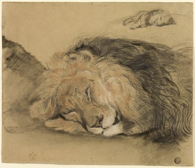 Cabeza de león y boceto de león (carboncillo y grafito) de Edme Charles Saint Marcel