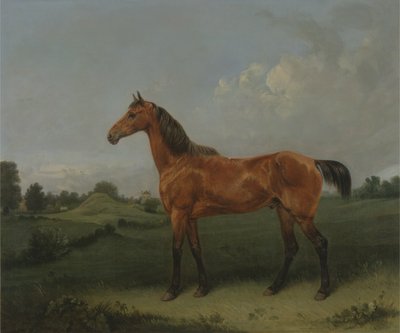 Un caballo bayo en un campo de Edmund Bristow