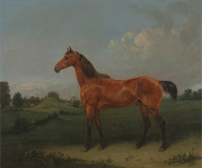 Un caballo bayo en el campo de Edmund Bristow