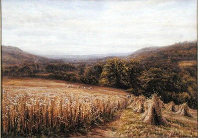 Tiempo de cosecha cerca de Ashburton de Edmund George Warren