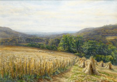 Tiempo de cosecha cerca de Ashburton, 1884 de Edmund George Warren