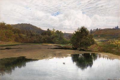 Leith Hill, desde Broadmoor, Surrey de Edmund George Warren