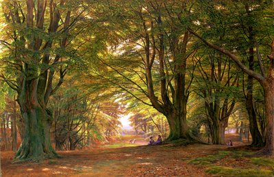 Jugando en el bosque de hayas, 1876 de Edmund George Warren