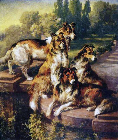 Collies de Edmund Henry Osthaus
