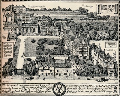 Trinity College, Oxford, 1905 de Edmund Hort New